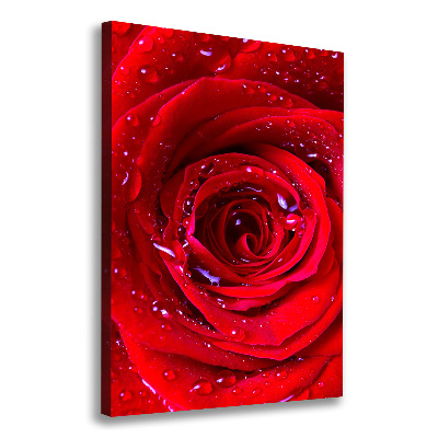 Tableau photo sur toile Rose rouge