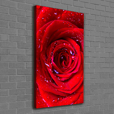 Tableau photo sur toile Rose rouge