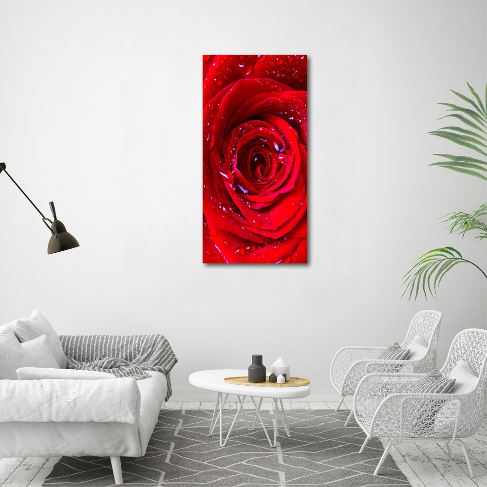 Tableau photo sur toile Rose rouge