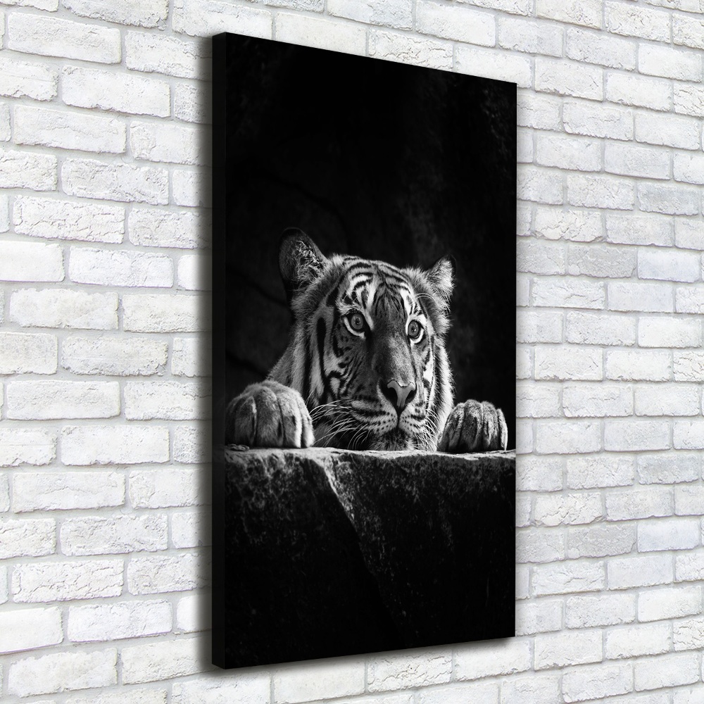 Tableau photo sur toile Tigre