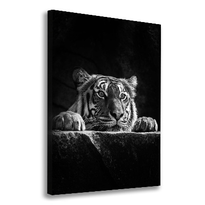 Tableau photo sur toile Tigre