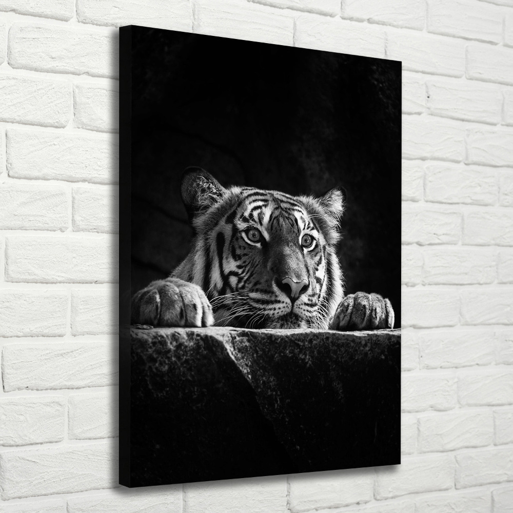 Tableau photo sur toile Tigre