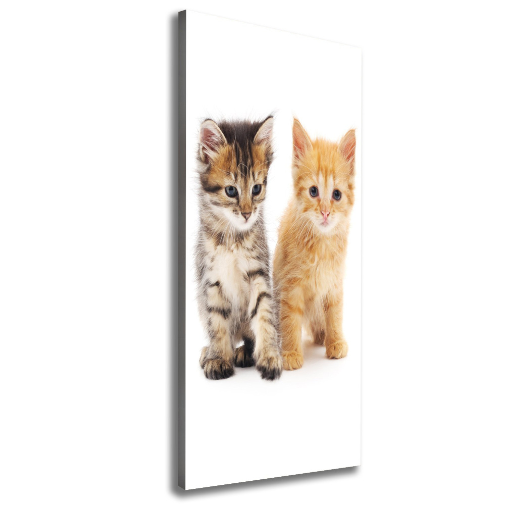 Tableau sur toile Chat gris et roux