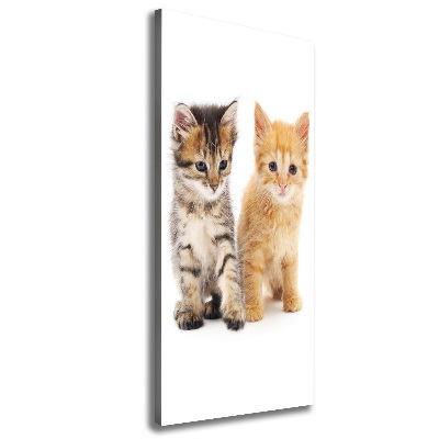 Tableau sur toile Chat gris et roux