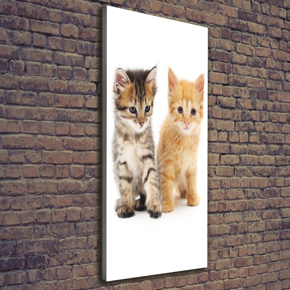 Tableau sur toile Chat gris et roux