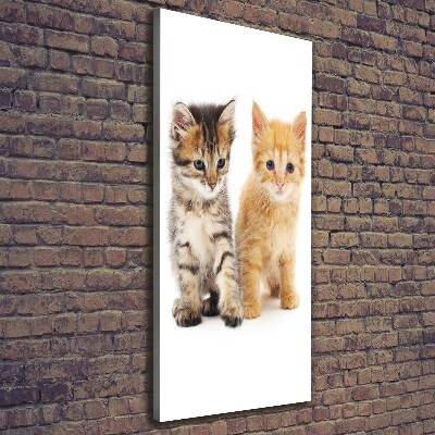 Tableau sur toile Chat gris et roux