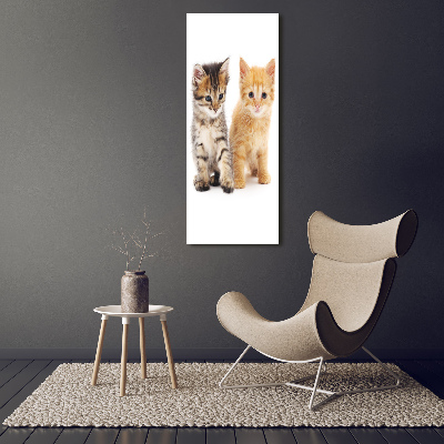 Tableau sur toile Chat gris et roux