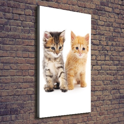 Tableau sur toile Chat gris et roux