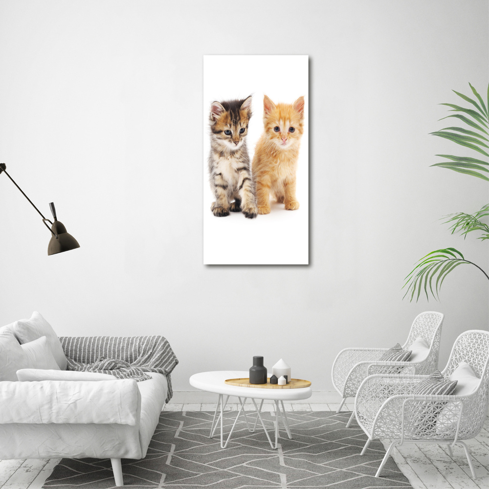 Tableau sur toile Chat gris et roux