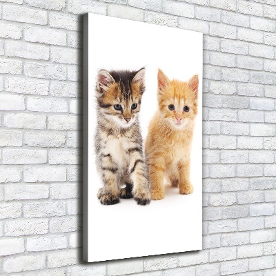 Tableau sur toile Chat gris et roux