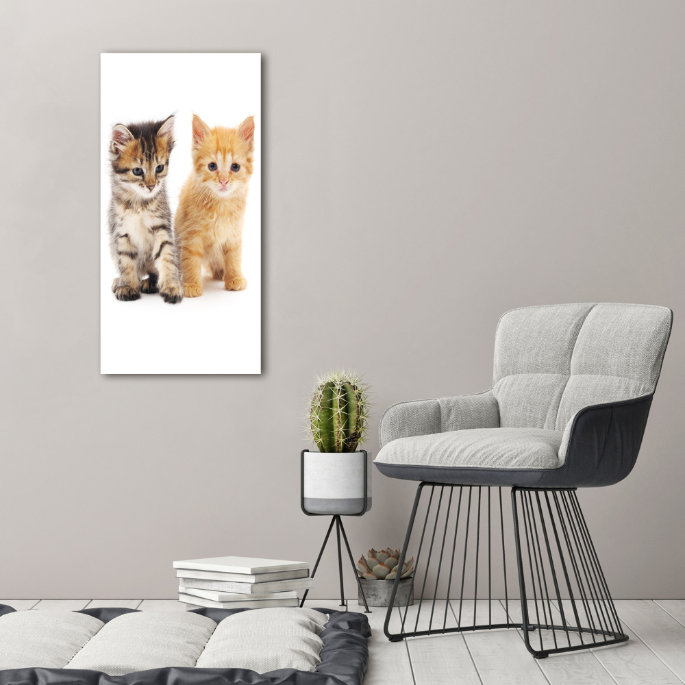 Tableau sur toile Chat gris et roux