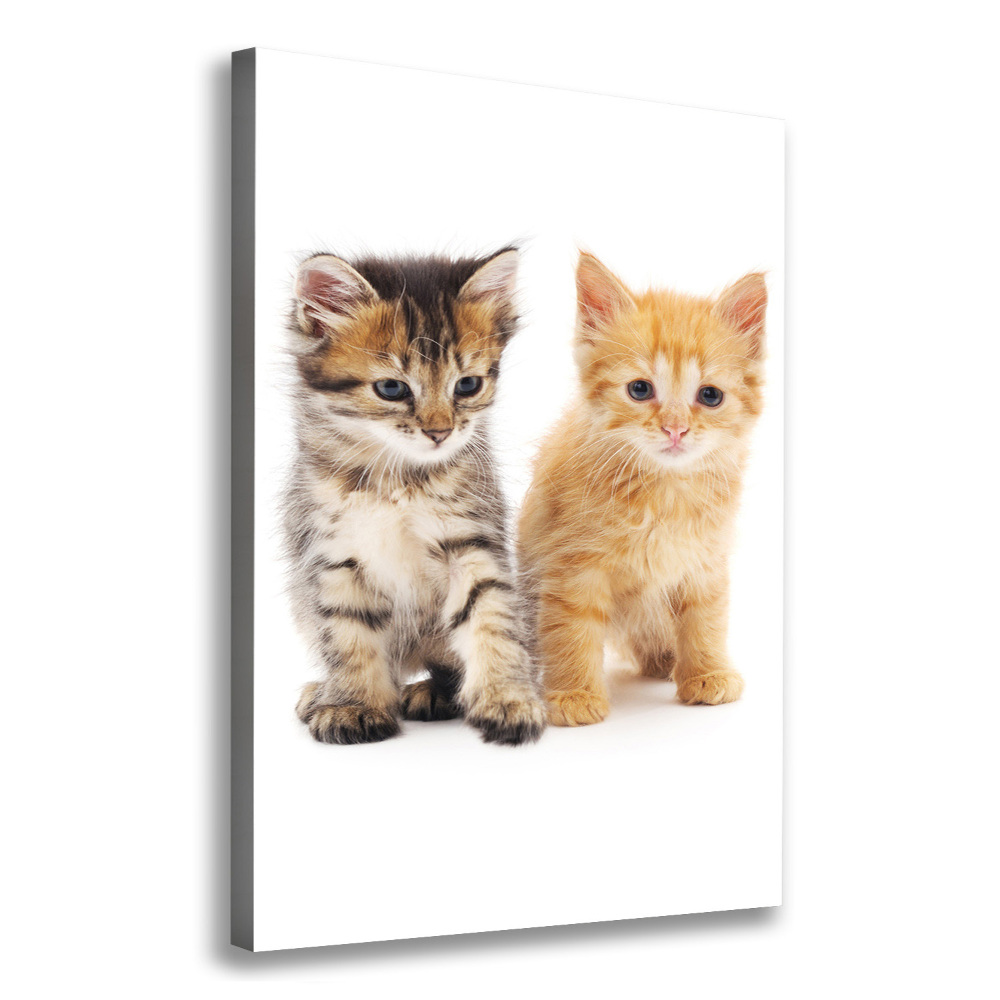 Tableau sur toile Chat gris et roux