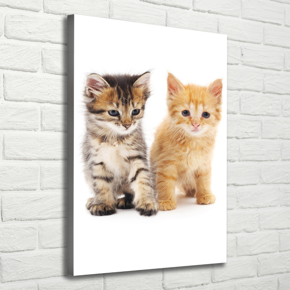 Tableau sur toile Chat gris et roux