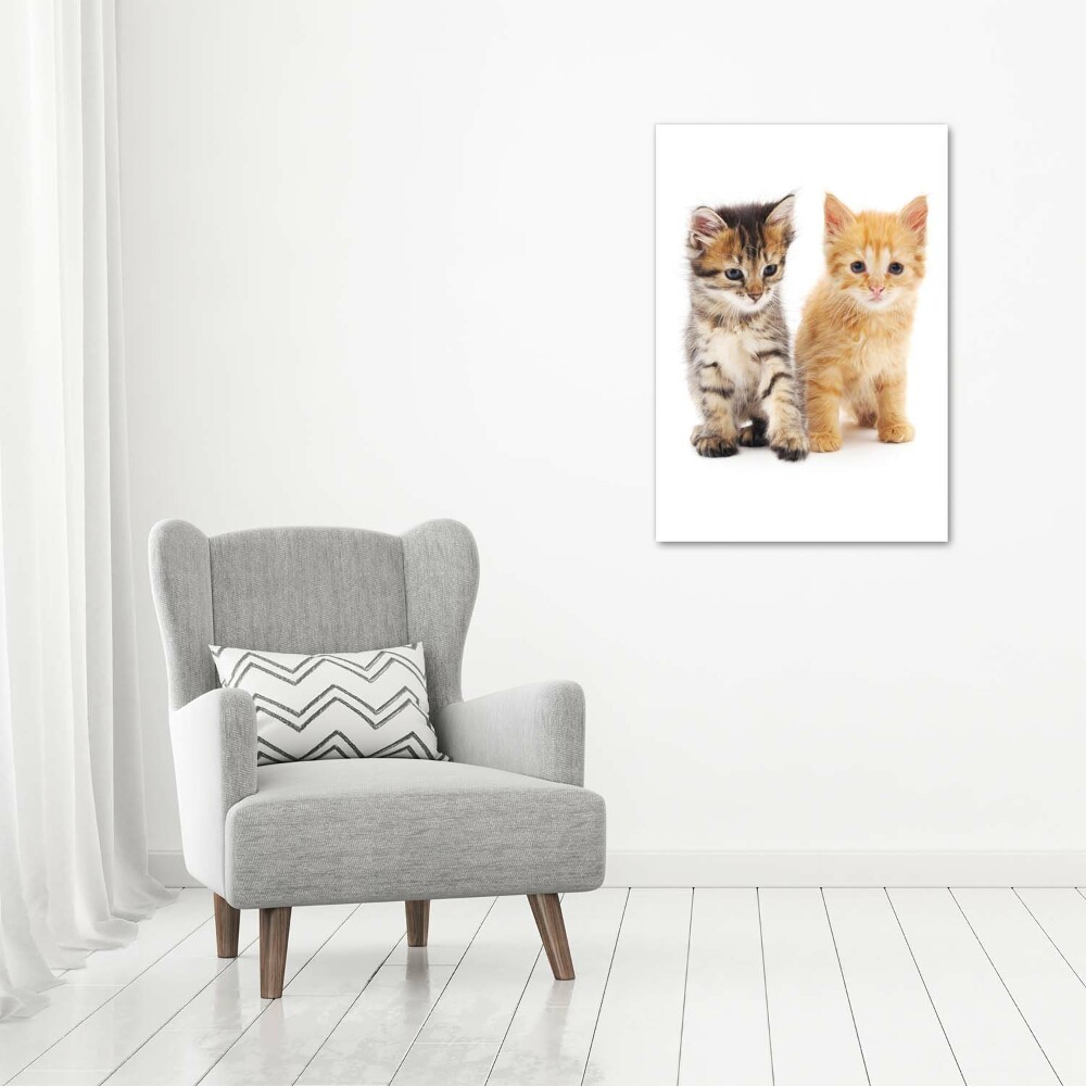 Tableau sur toile Chat gris et roux