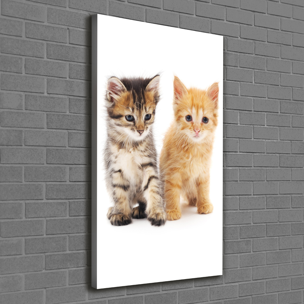 Tableau sur toile Chat gris et roux