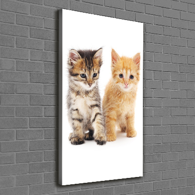 Tableau sur toile Chat gris et roux