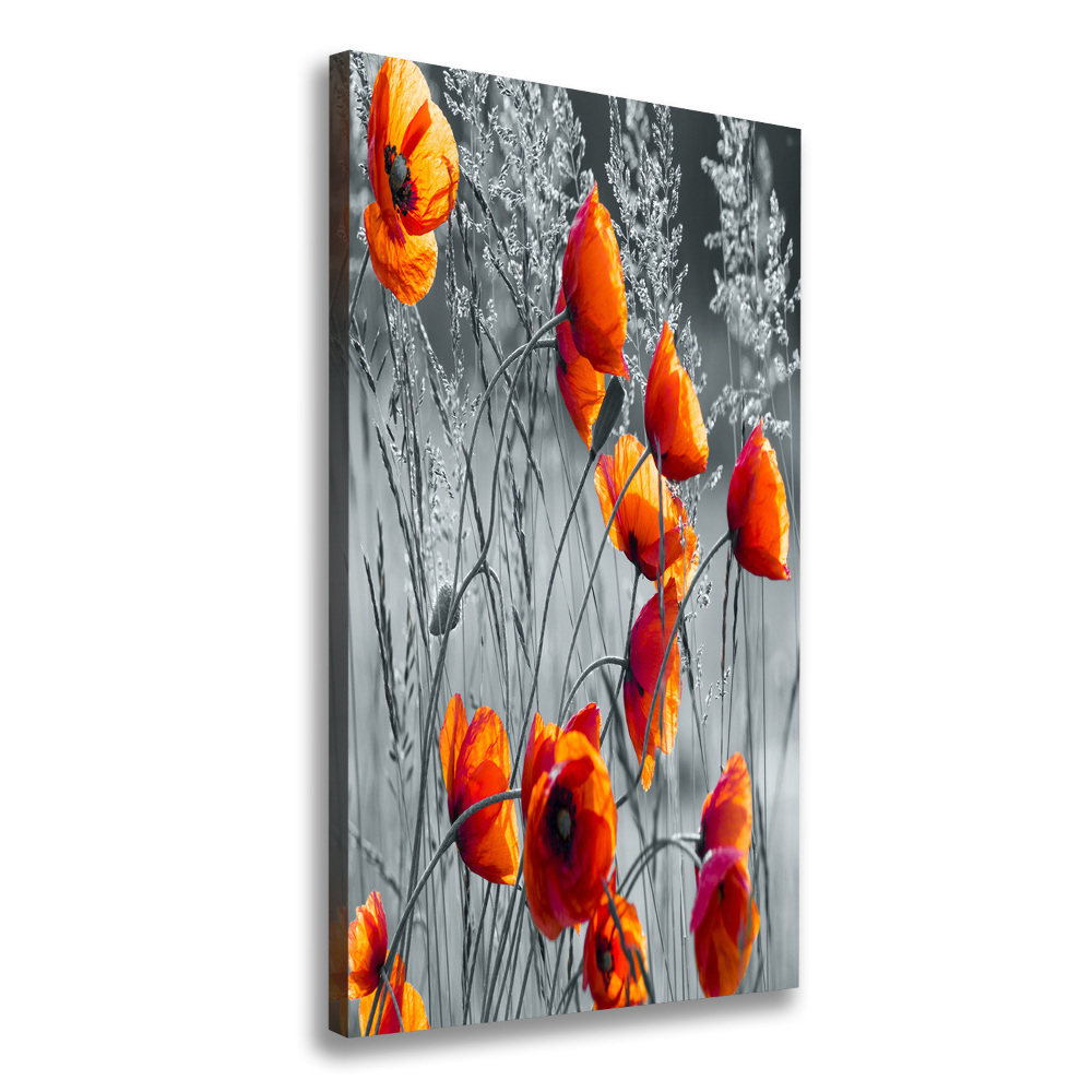 Tableau photo sur toile Fleurs de coquelicots rouges