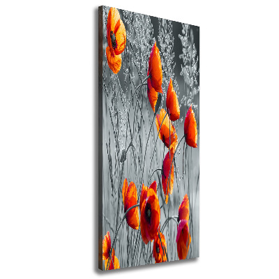 Tableau photo sur toile Fleurs de coquelicots rouges