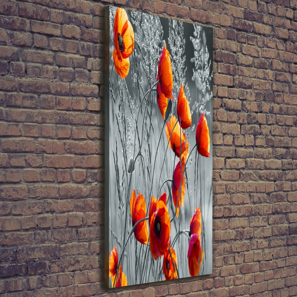 Tableau photo sur toile Fleurs de coquelicots rouges