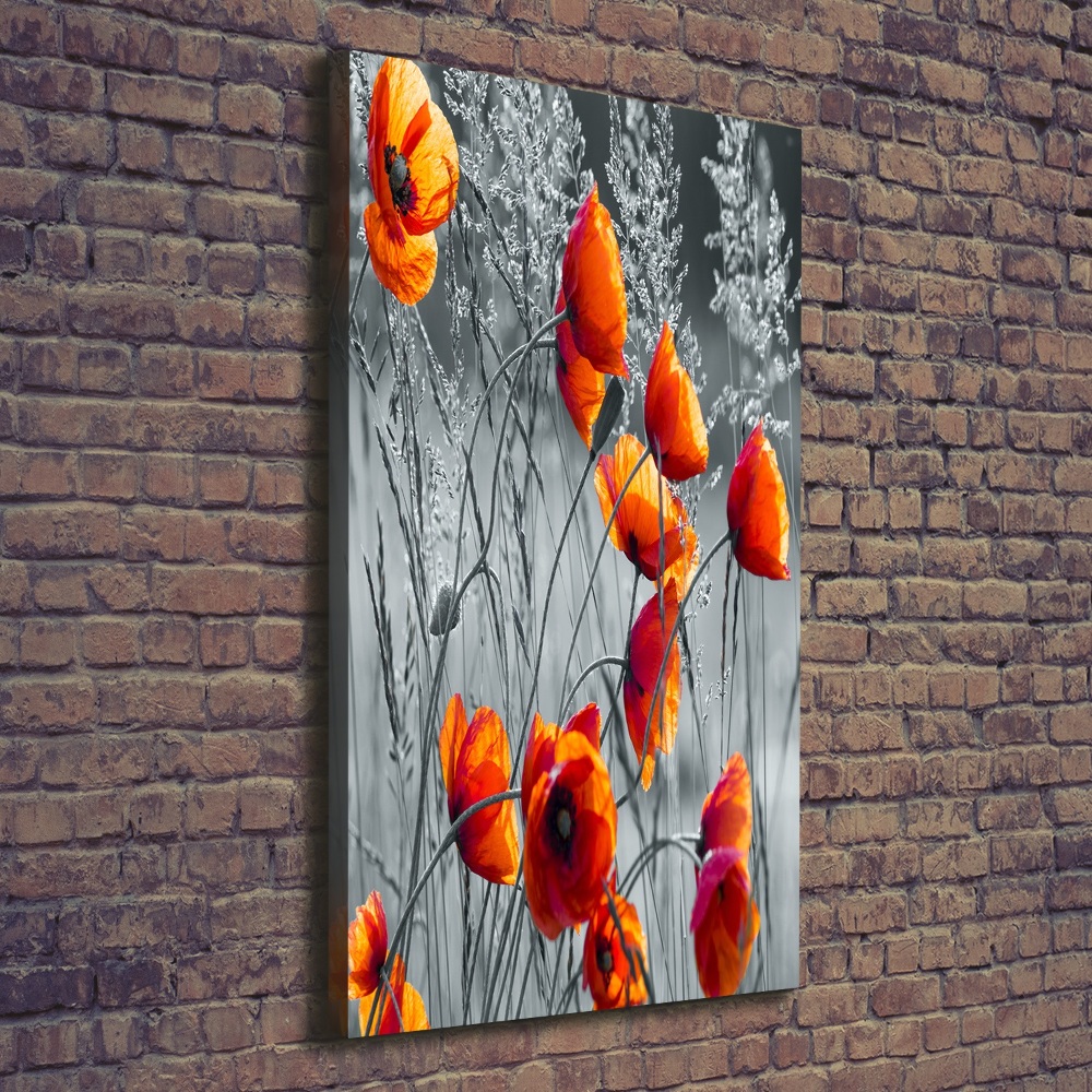 Tableau photo sur toile Fleurs de coquelicots rouges