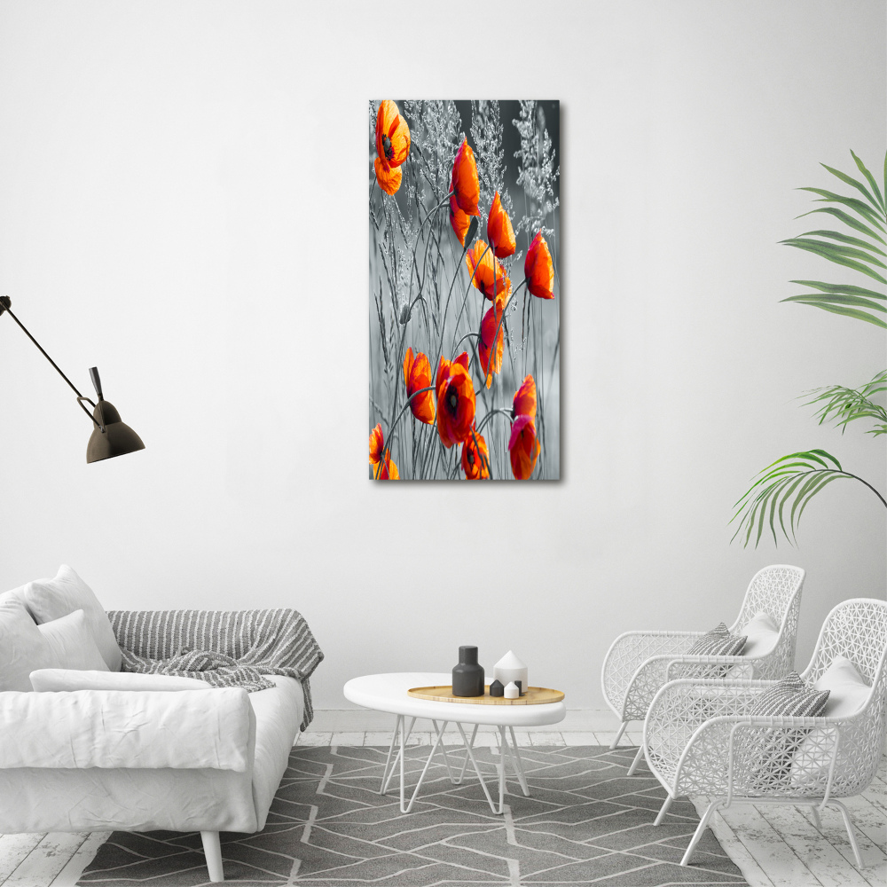 Tableau photo sur toile Fleurs de coquelicots rouges