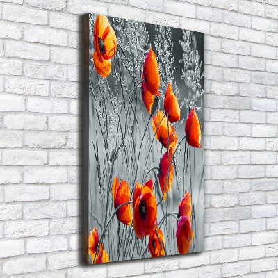 Tableau photo sur toile Fleurs de coquelicots rouges