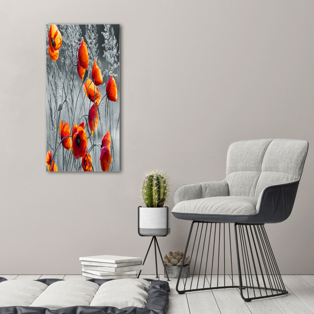 Tableau photo sur toile Fleurs de coquelicots rouges