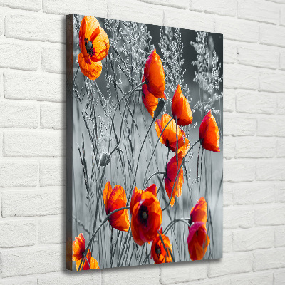 Tableau photo sur toile Fleurs de coquelicots rouges