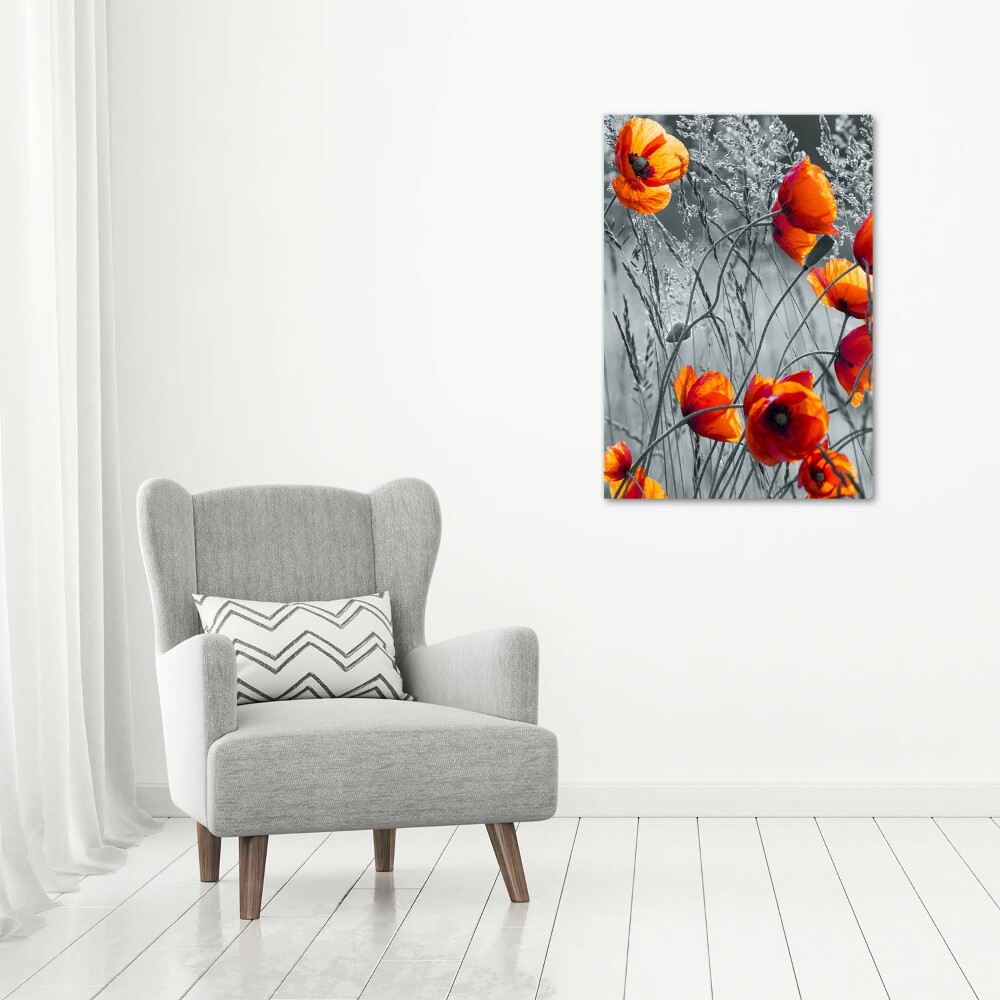 Tableau photo sur toile Fleurs de coquelicots rouges