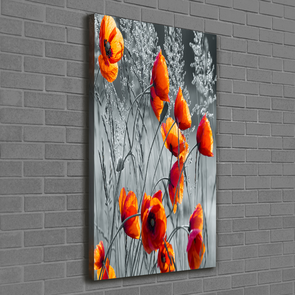 Tableau photo sur toile Fleurs de coquelicots rouges