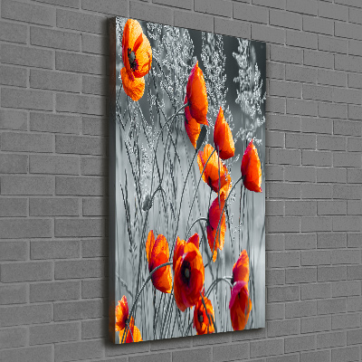 Tableau photo sur toile Fleurs de coquelicots rouges