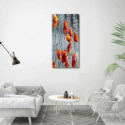 Tableau photo sur toile Fleurs de coquelicots rouges