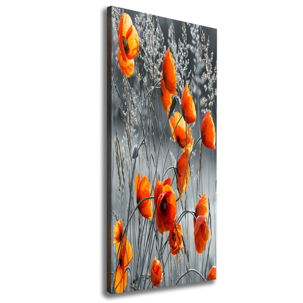 Tableau mural sur toile Coquelicots des champs