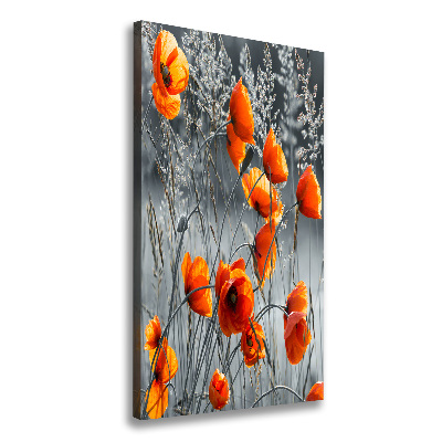 Tableau mural sur toile Coquelicots des champs