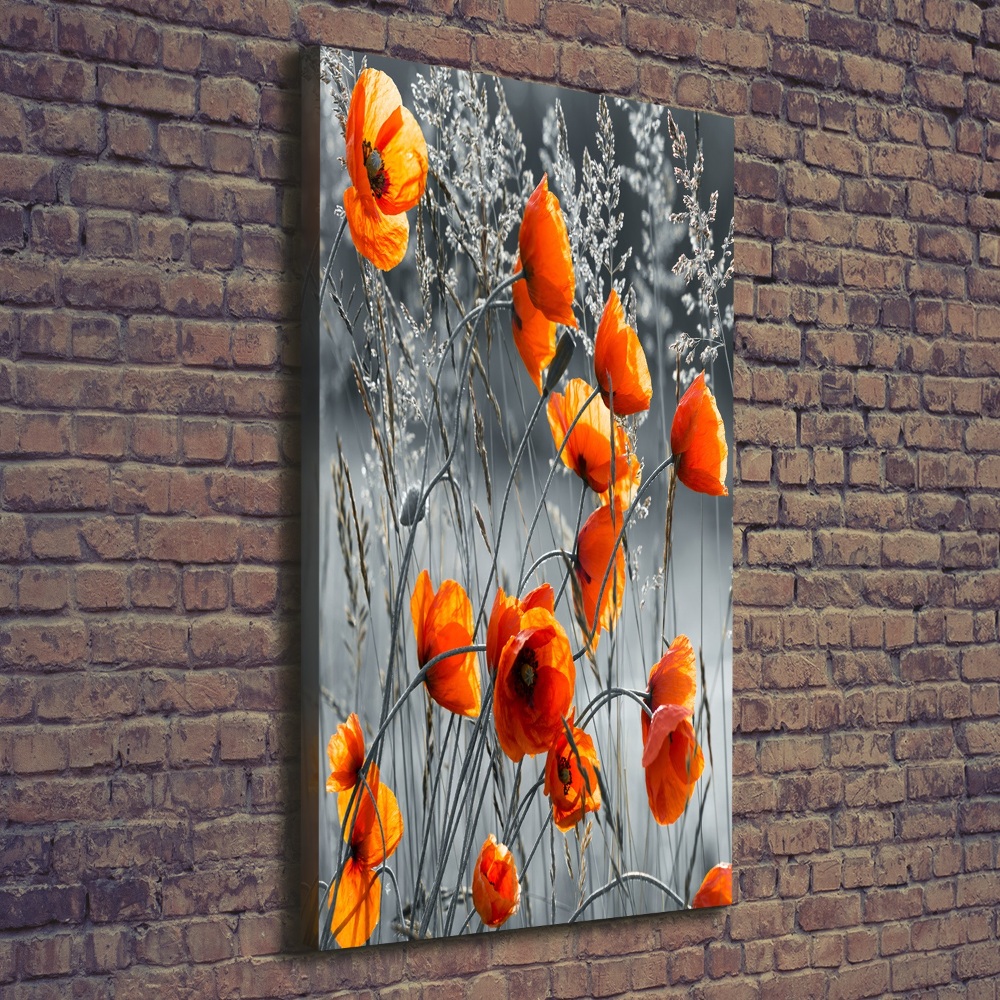 Tableau mural sur toile Coquelicots des champs