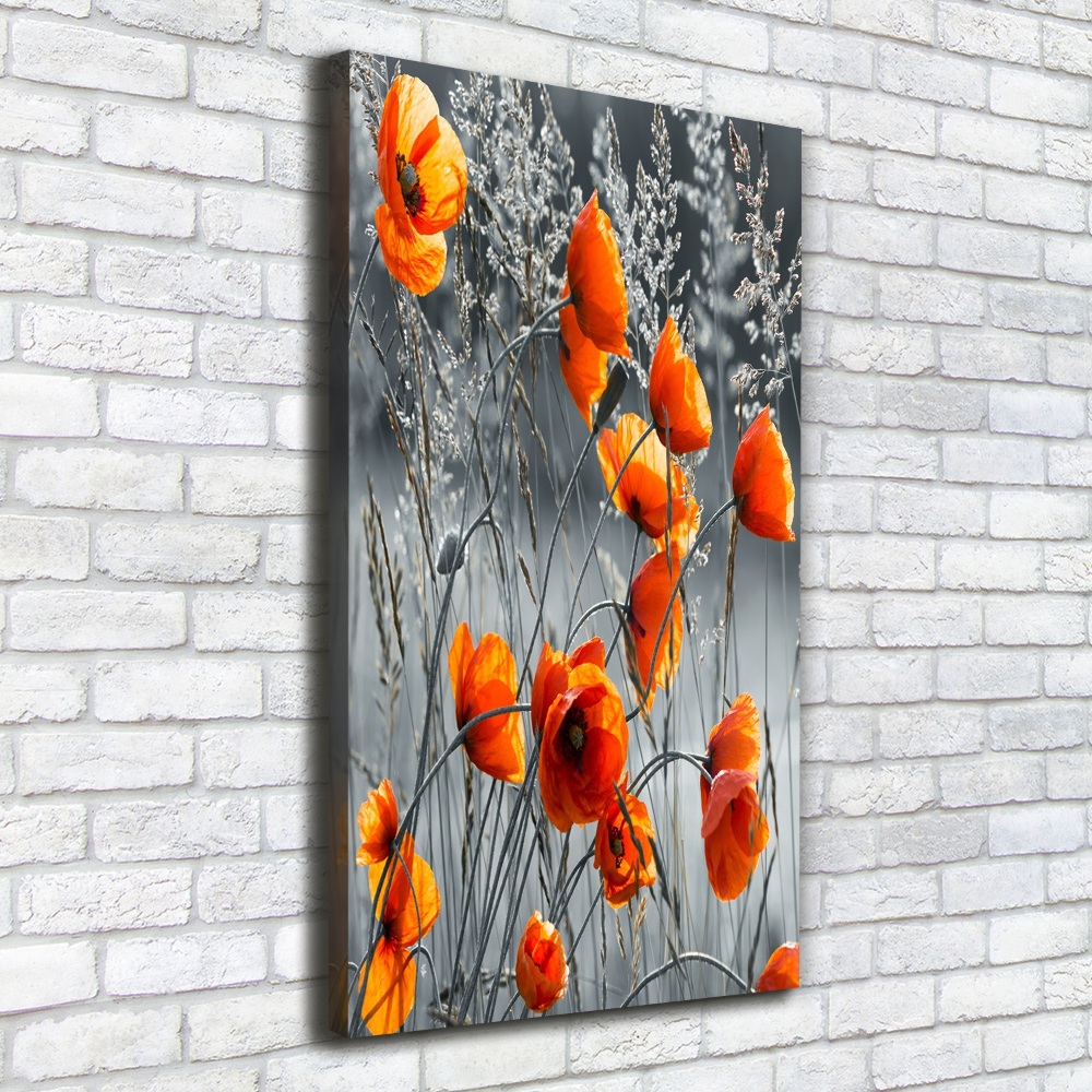 Tableau mural sur toile Coquelicots des champs