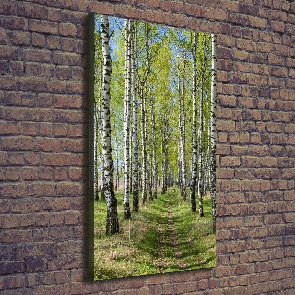 Tableau sur toile Forêt bouleau