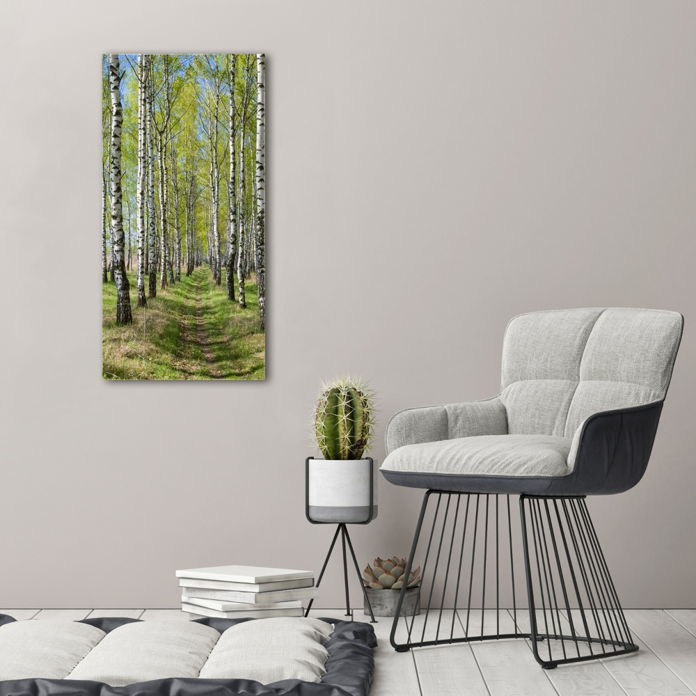 Tableau sur toile Forêt bouleau