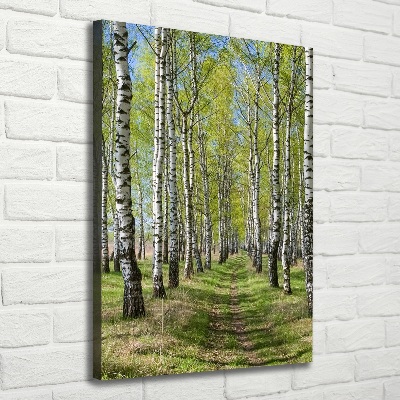 Tableau sur toile Forêt bouleau