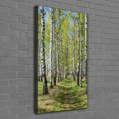 Tableau sur toile Forêt bouleau