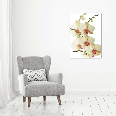 Tableau photo sur toile Orchidée plante