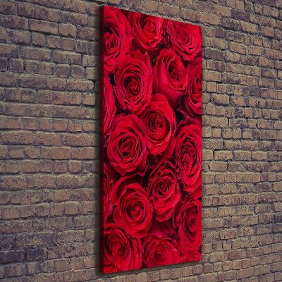 Tableau mural sur toile Rose rouge