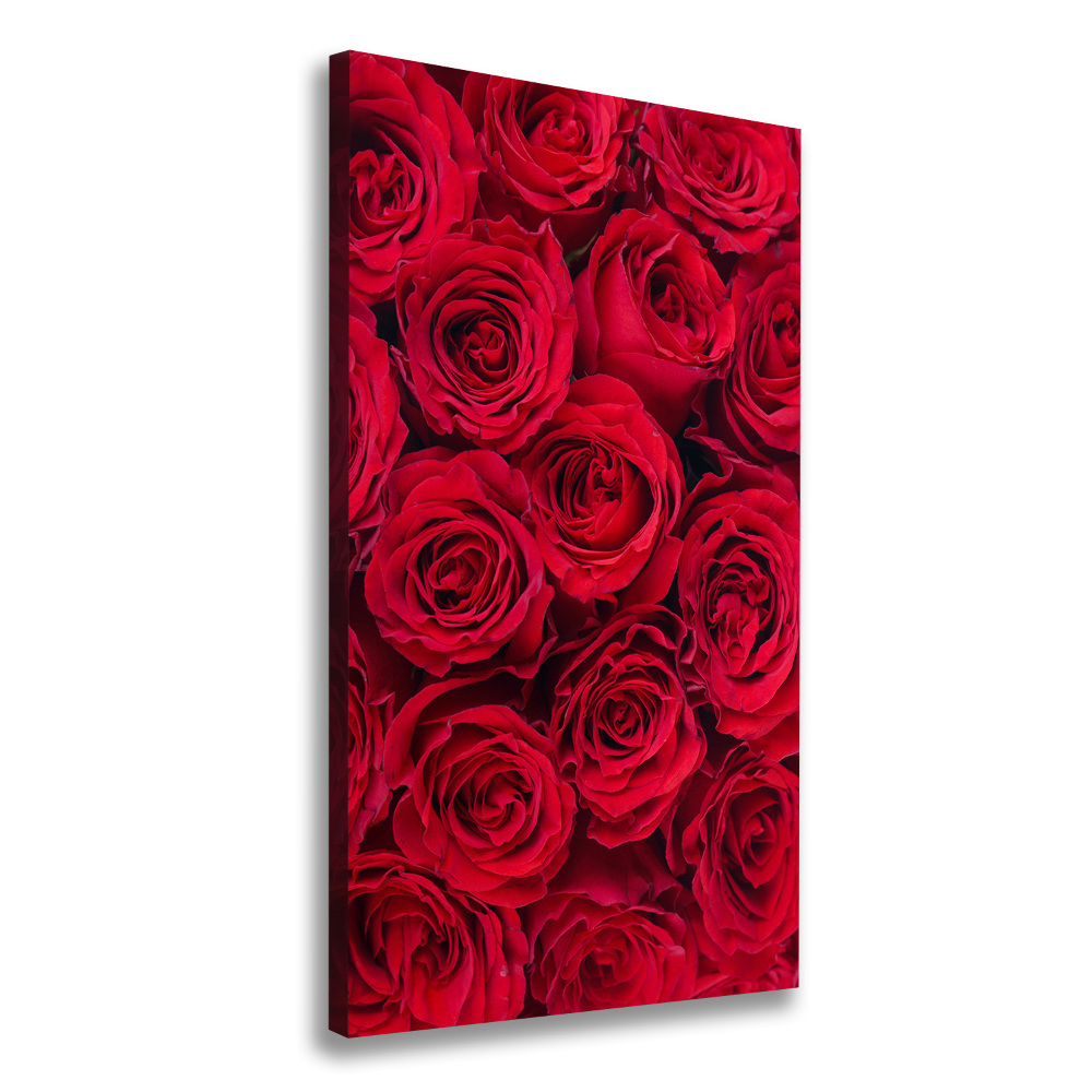 Tableau mural sur toile Rose rouge