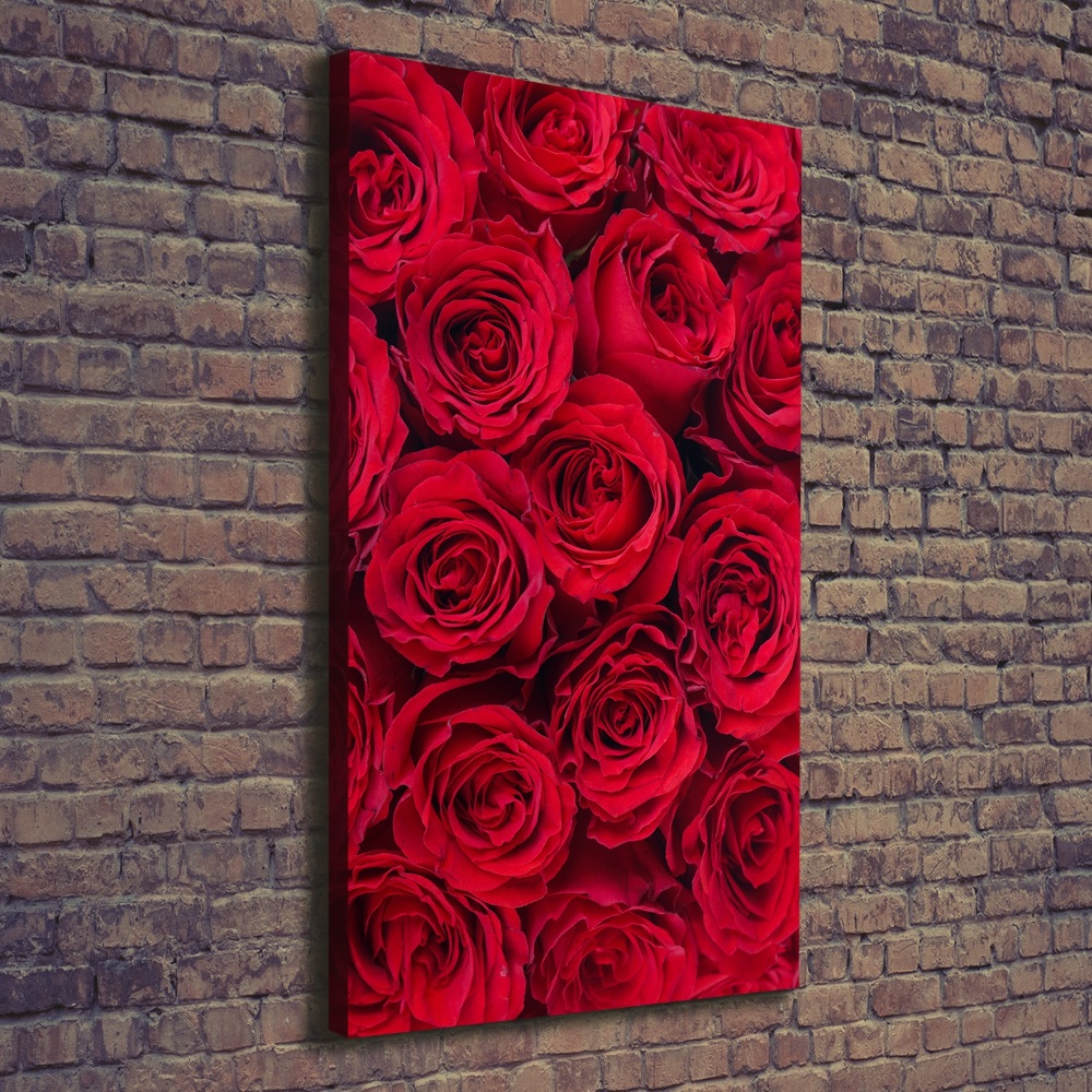 Tableau mural sur toile Rose rouge