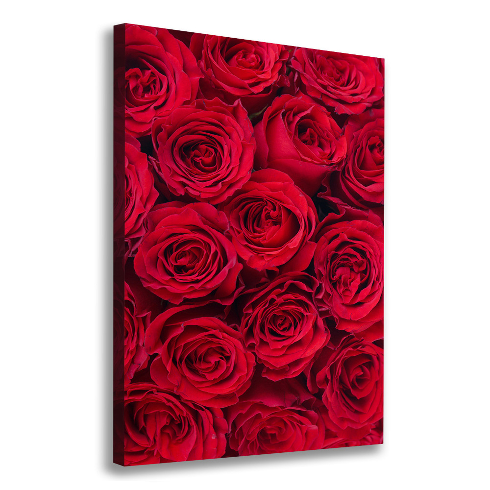 Tableau mural sur toile Rose rouge