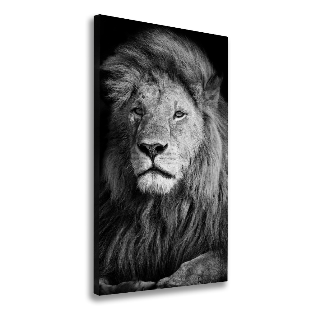 Tableau toile imprimée Portrait d'un lion