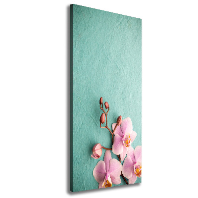 Tableau sur toile Orchidée rose fleur