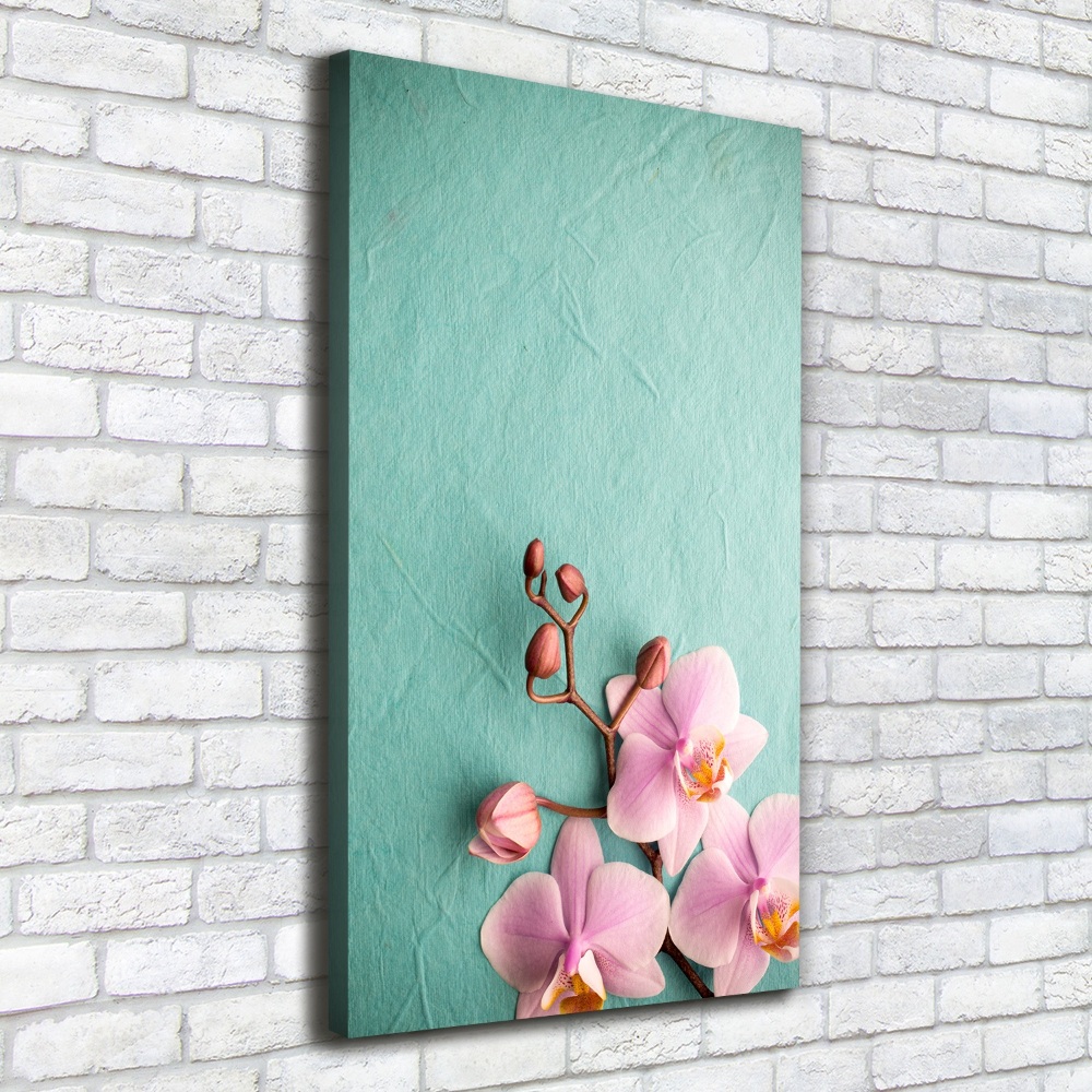 Tableau sur toile Orchidée rose fleur