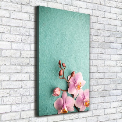 Tableau sur toile Orchidée rose fleur