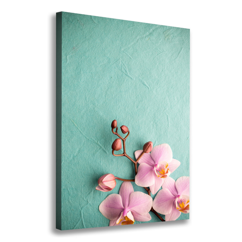 Tableau sur toile Orchidée rose fleur